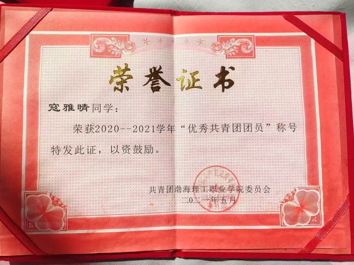优秀共青团团员.jpg